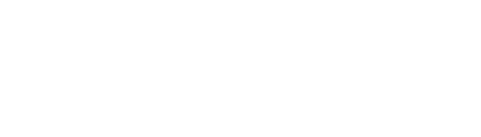 Via Max Transportes